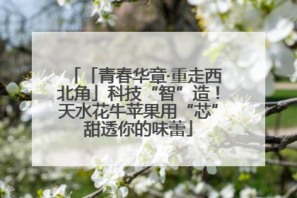 「青春华章·重走西北角」科技“智”造！天水花牛苹果用“芯”甜透你的味蕾